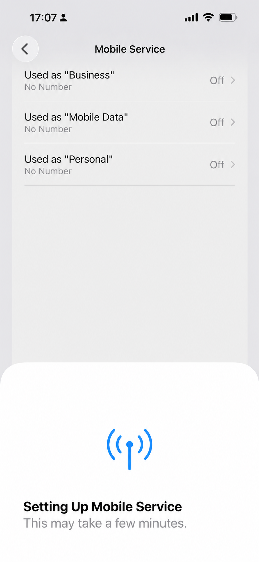 iPhone “Setting Up Mobile Service” screen while installing an eSIMPal eSIM